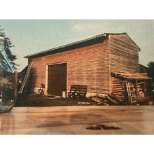 Laden Sie das Bild in den Galerie-Viewer, Remzi´s Absinth