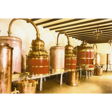 Laden Sie das Bild in den Galerie-Viewer, La Fee Jaune