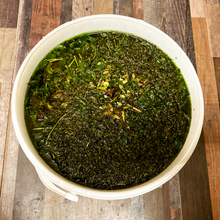 Laden Sie das Bild in den Galerie-Viewer, Else Edelkraut