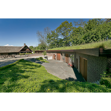 Laden Sie das Bild in den Galerie-Viewer, ELG Absinthe